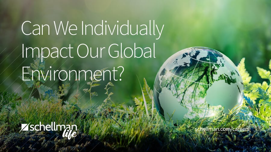 How Can We Individually Impact Our Global Environment?