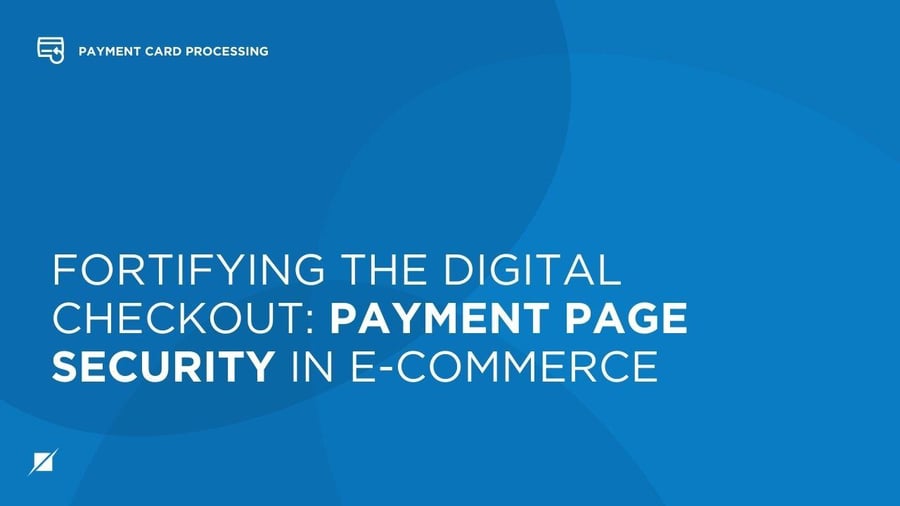 Fortifying the Digital Checkout: Payment Page Security in E-Commerce
