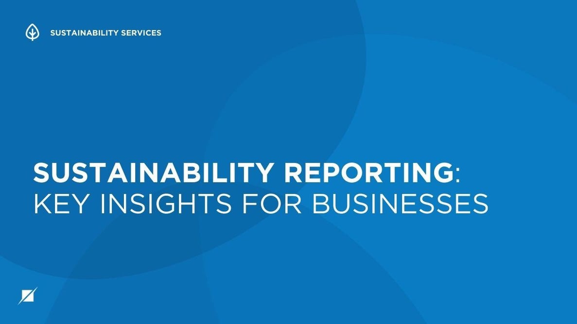 Sustainability Reporting: Key Insights for Businesses