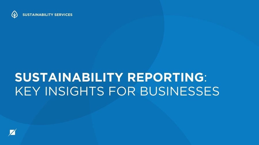 Sustainability Reporting: Key Insights for Businesses