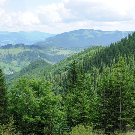 greenhouse-gas-verification-services