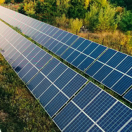 schellman-sustainability-services