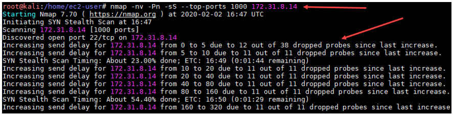 Online Port Scanner Powered by Nmap